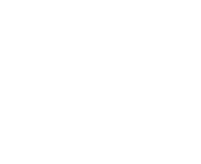 BMF Europe