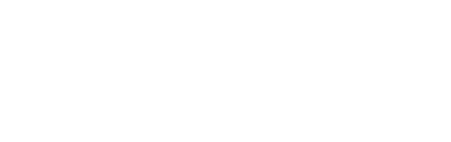 DJ Denise